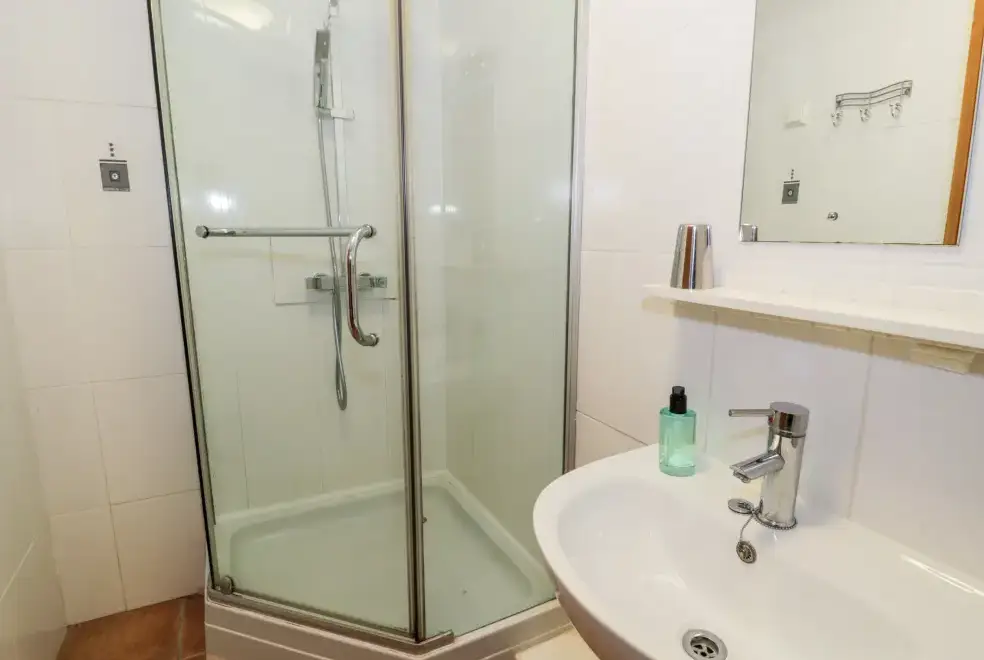 Shower room at Ddol Helyg Barn