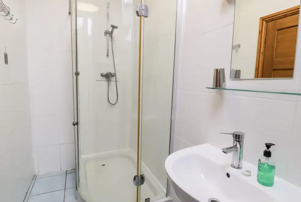 Shower room at Ddol Helyg Barn