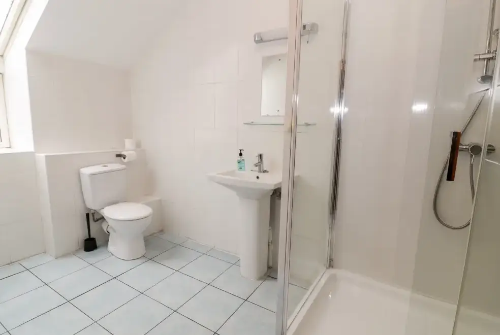 Shower room at Ddol Helyg Barn