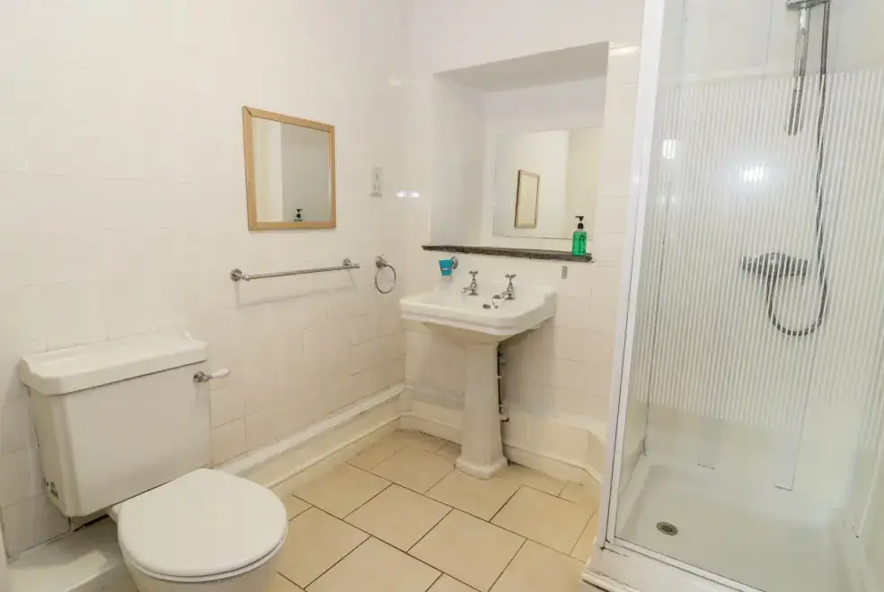 Shower room at Ddol Helyg Farmhouse