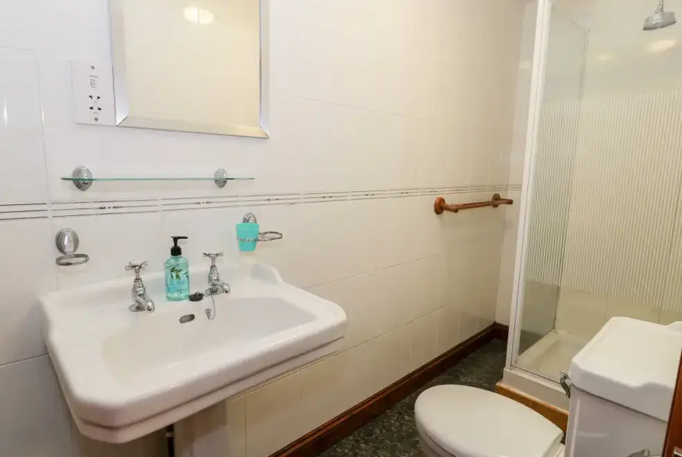 Shower room at Ddol Helyg Farmhouse