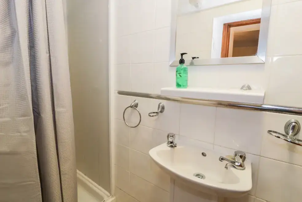 Shower room at Ddol Helyg Farmhouse