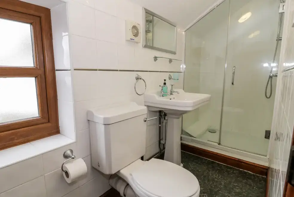 Ensuite bathroom at Ddol Helyg Farmhouse