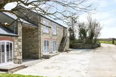 Dexter, Penryn, Cornwall