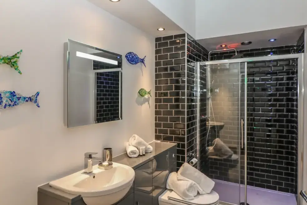 Shower room at Dexter