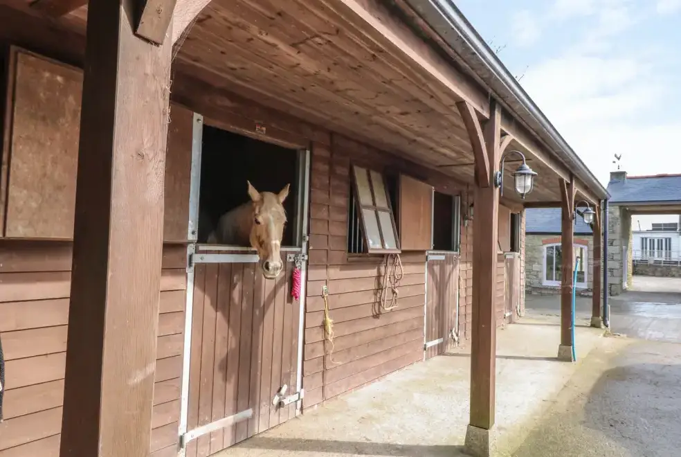 Dexter, from the outside