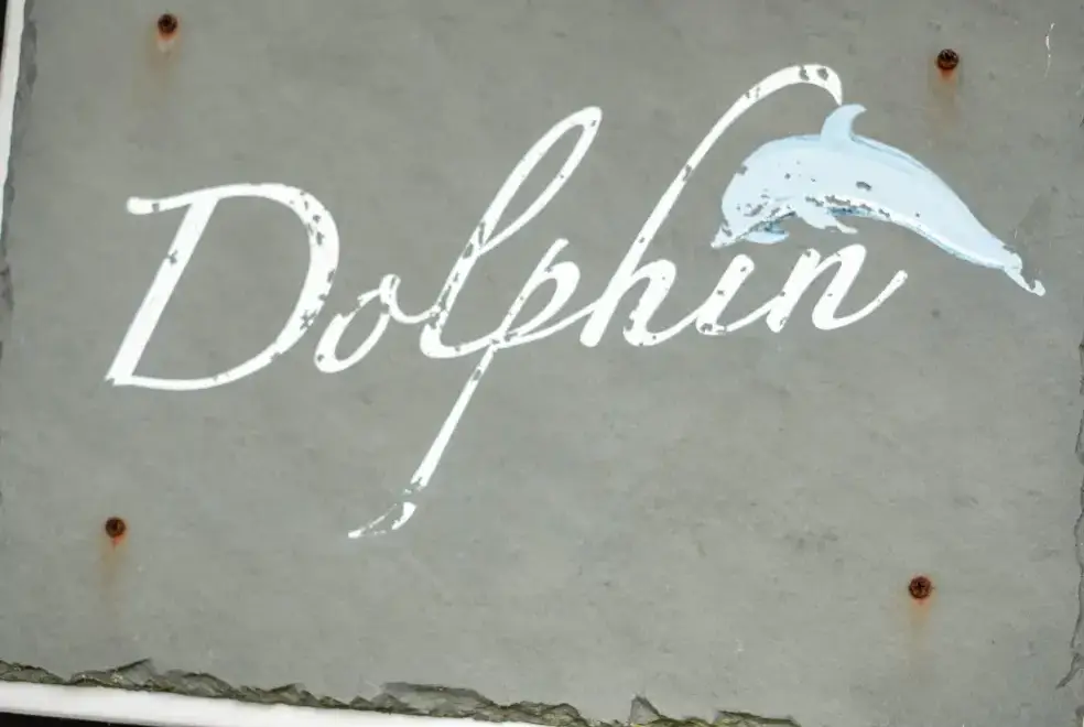 Surrounding area near Dolphin Lodge