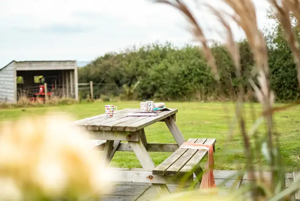 Garden furniture at Dolphin Lodge