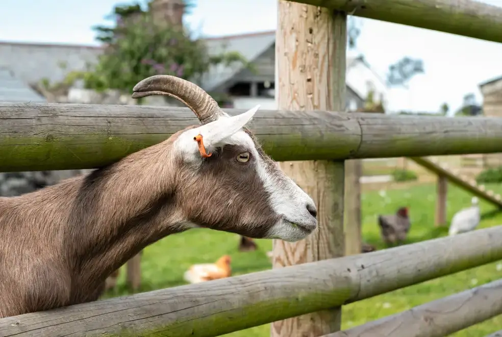 Countryside near Dolphin Lodge