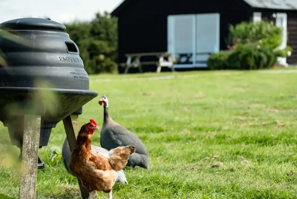 Countryside near Dolphin Lodge
