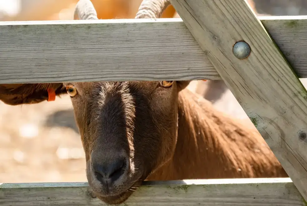 Surrounding area near Dolphin Lodge