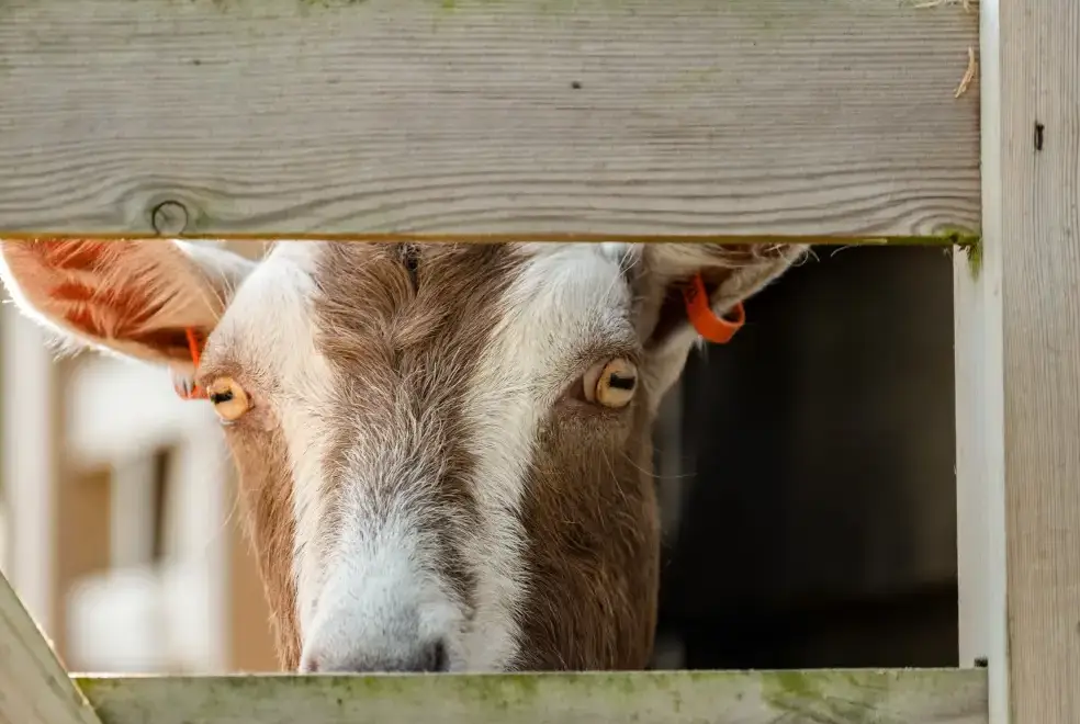 Surrounding area near Dolphin Lodge