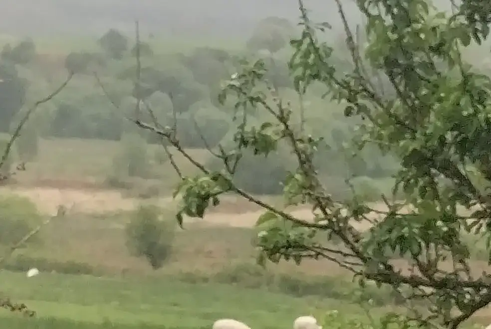 Countryside views at Dolwen