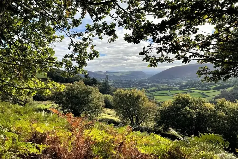 Countryside views at Dolwen