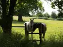 Countryside near Dons Barn - thumbnail photo