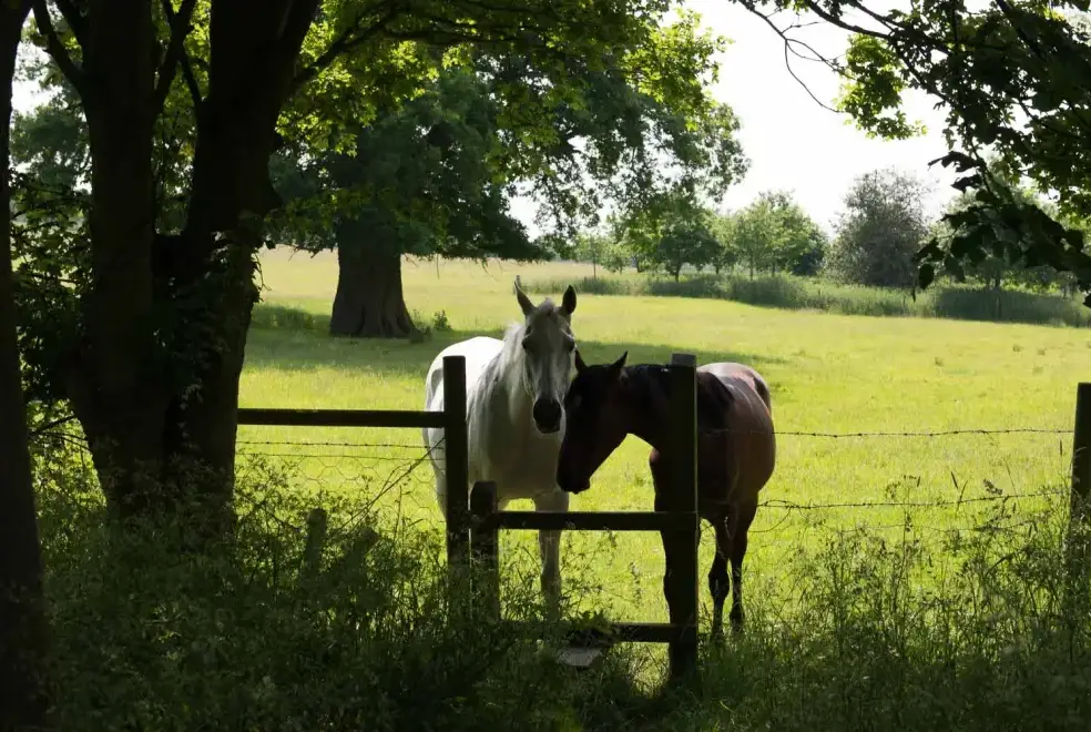 Countryside near Dons Barn