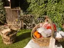 Garden at Dons Barn - thumbnail photo