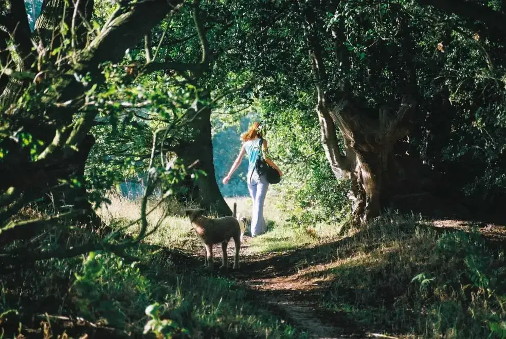 Countryside near Dons Barn