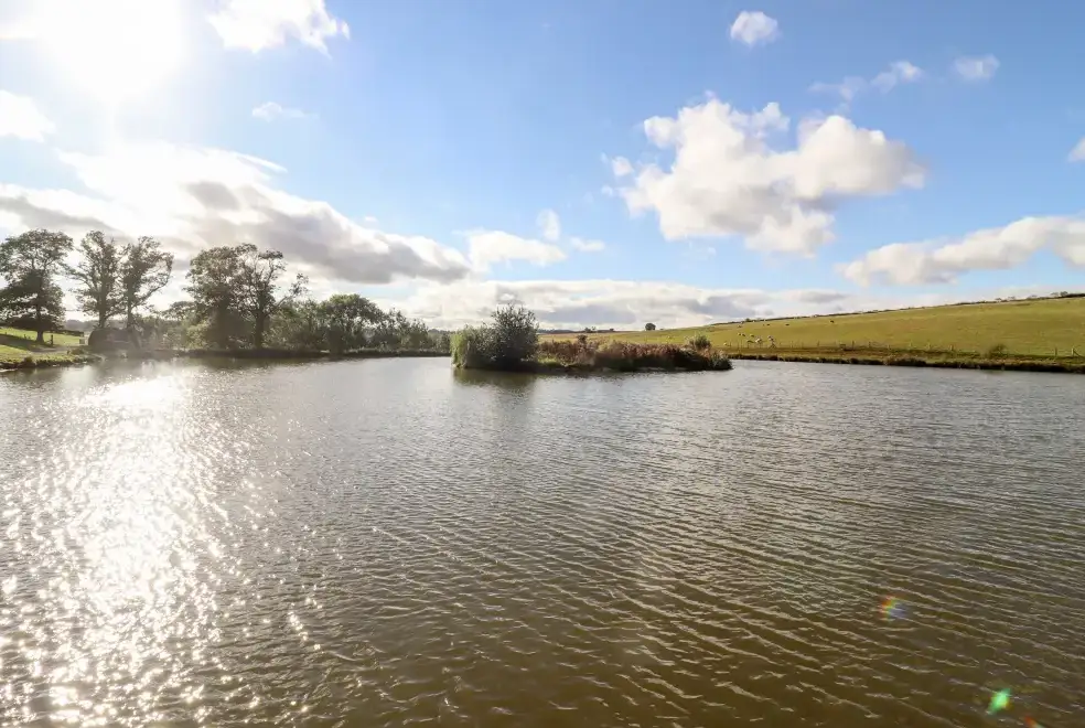 Lake view at Douglas Cabin