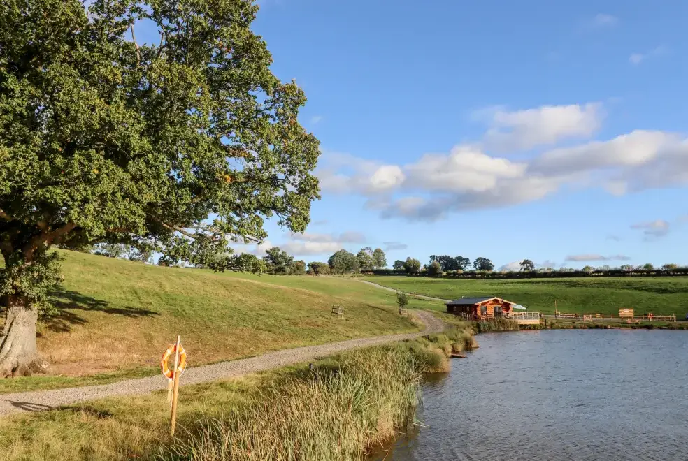 Lake view at Douglas Cabin