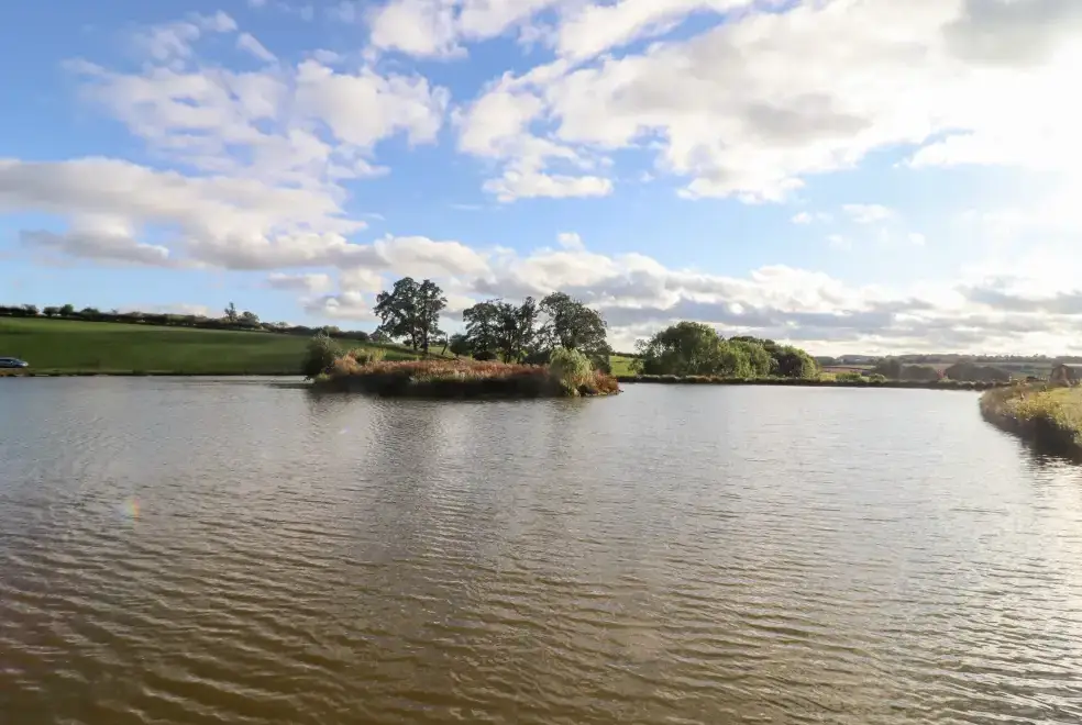 Lake view at Douglas Cabin