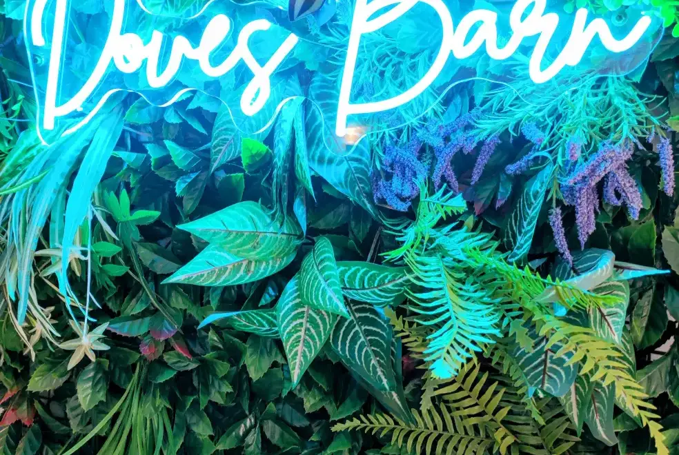 Surrounding area near Doves Barn