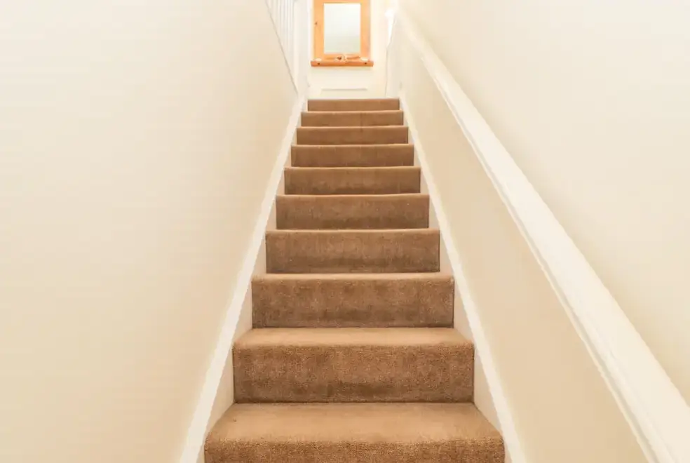 Surrounding area near Driftwood Apartment