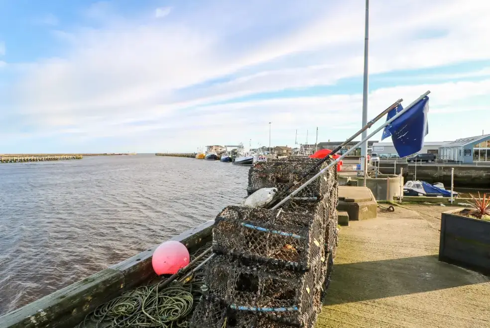 Coastal scenes near Driftwood Apartment