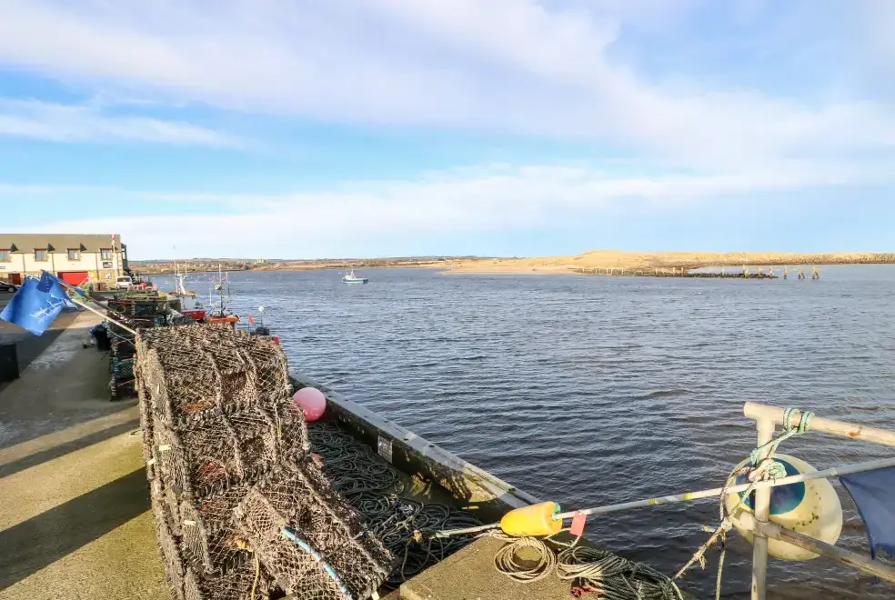 Coastal scenes near Driftwood Apartment