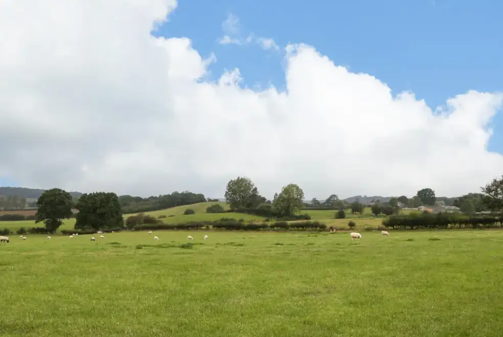 Countryside views at Durstone Cottage