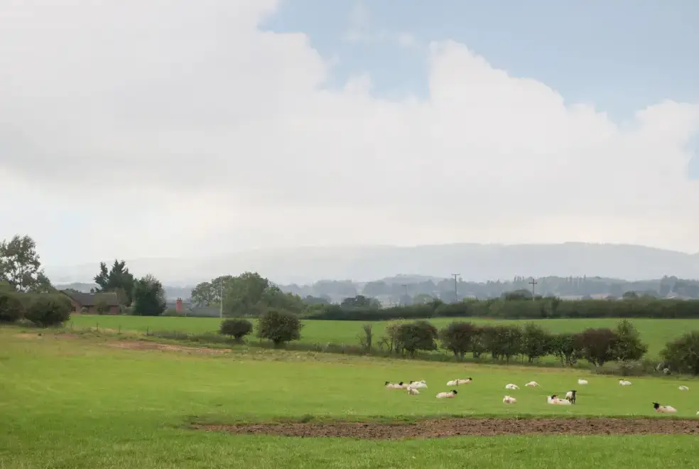 Countryside views at Durstone Cottage