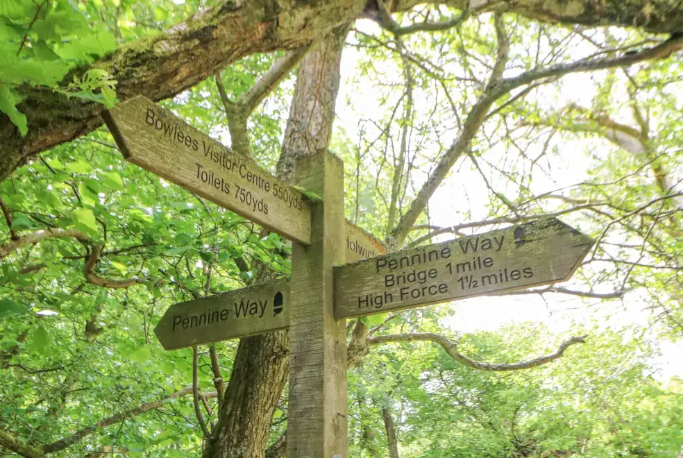 Countryside near East Crossthwaite Cottage