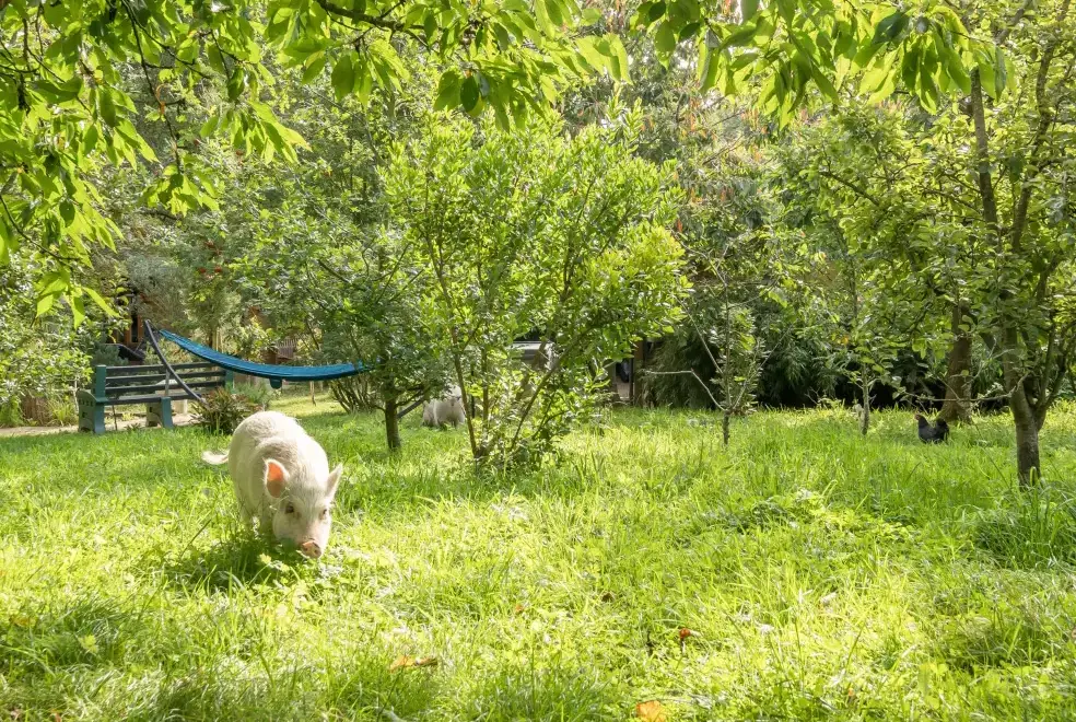 Garden at Eden Holiday House near the Lake District
