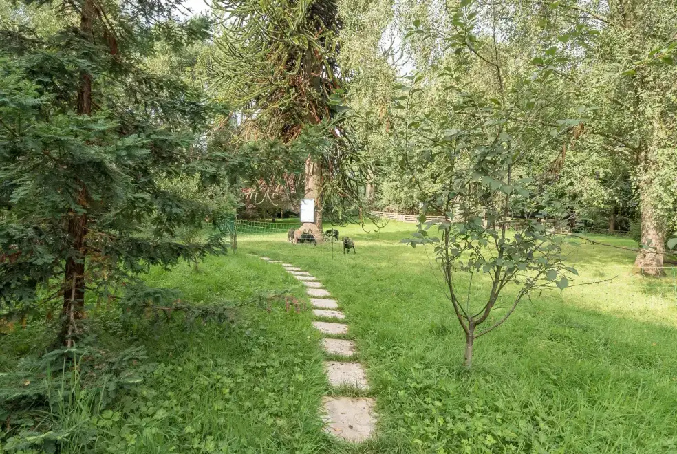 Garden at Eden Holiday House near the Lake District