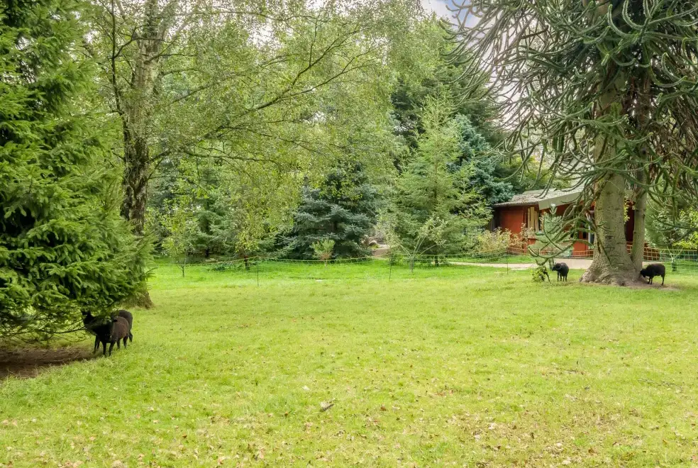 Enclosed garden at Eden Holiday House near the Lake District