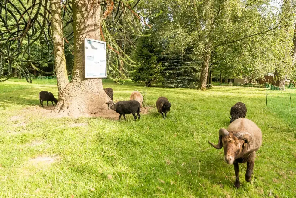 Countryside near Eden Holiday House near the Lake District