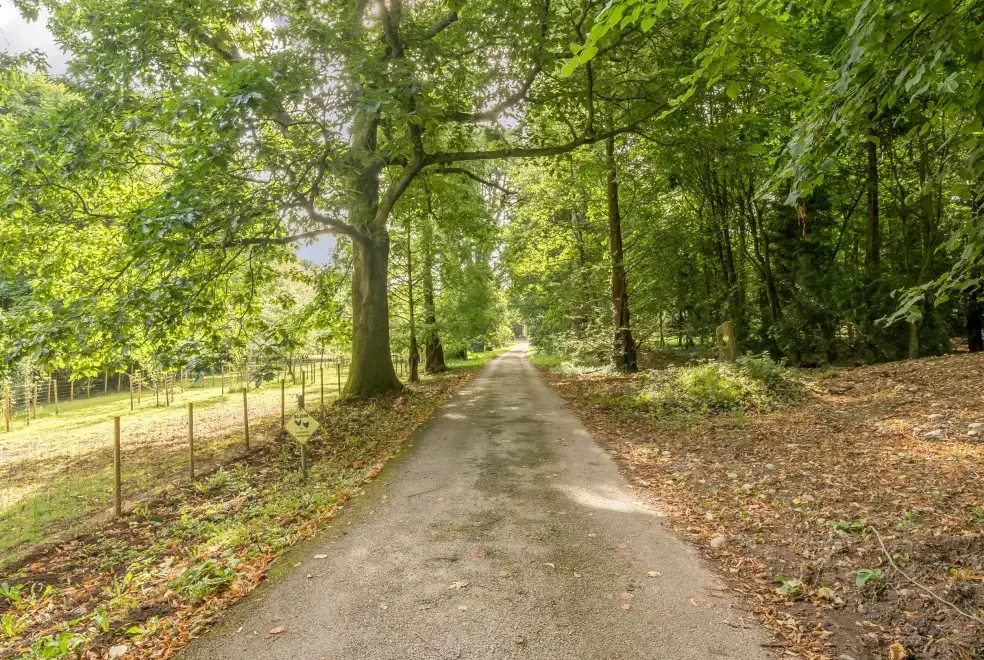 Countryside near Eden Holiday House near the Lake District