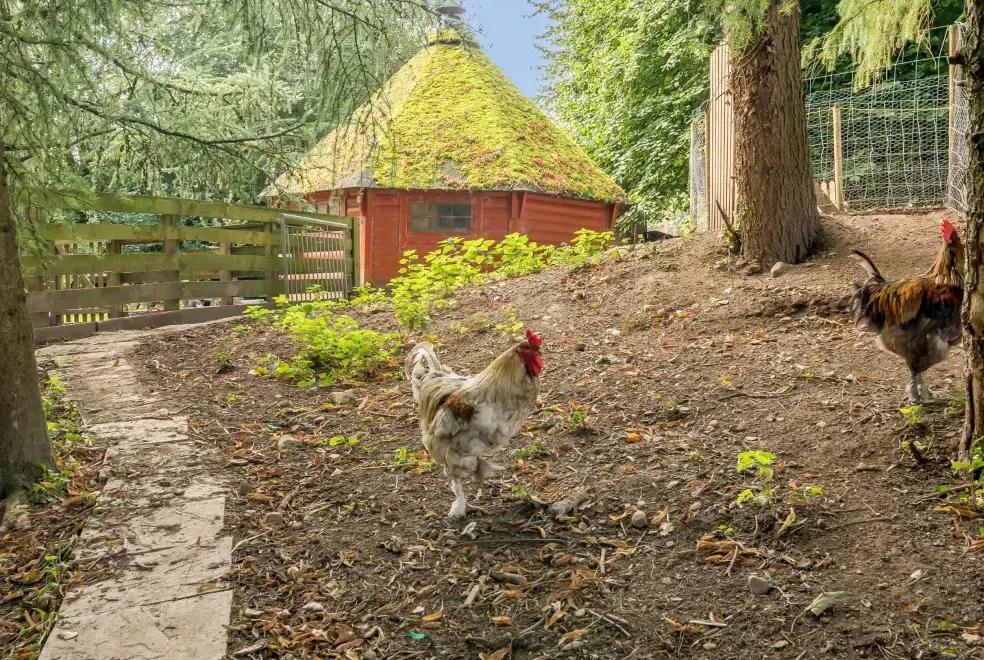 Countryside near Eden Holiday House near the Lake District