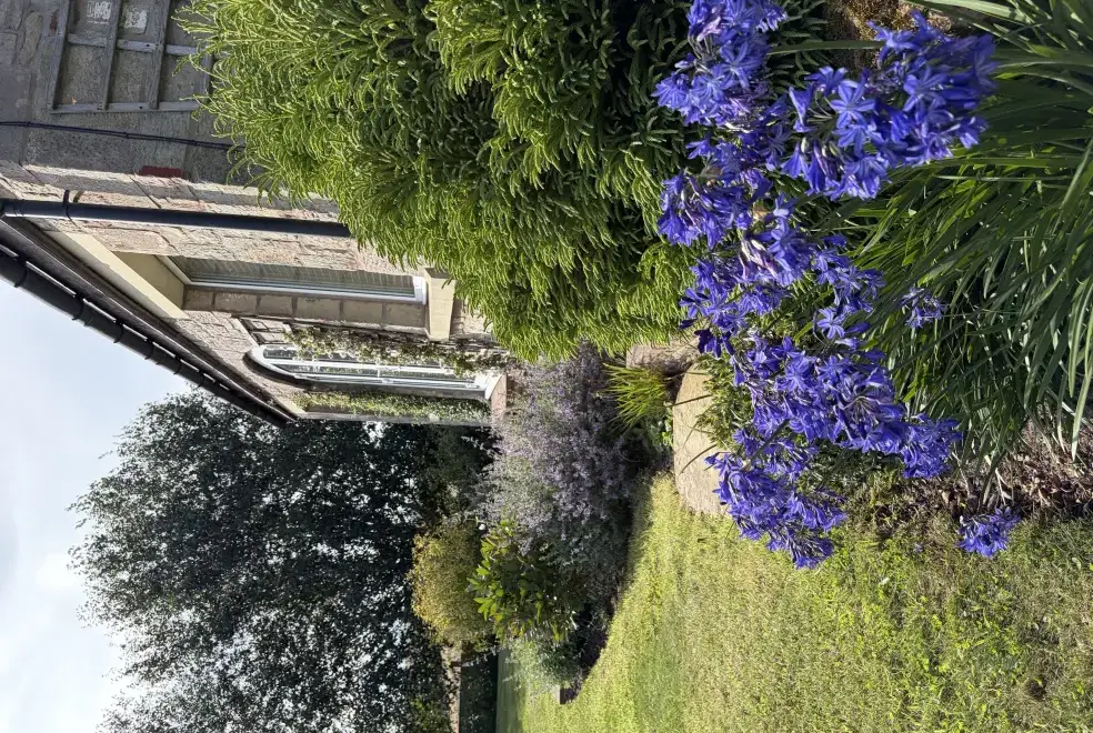 Garden at Edington Mains House