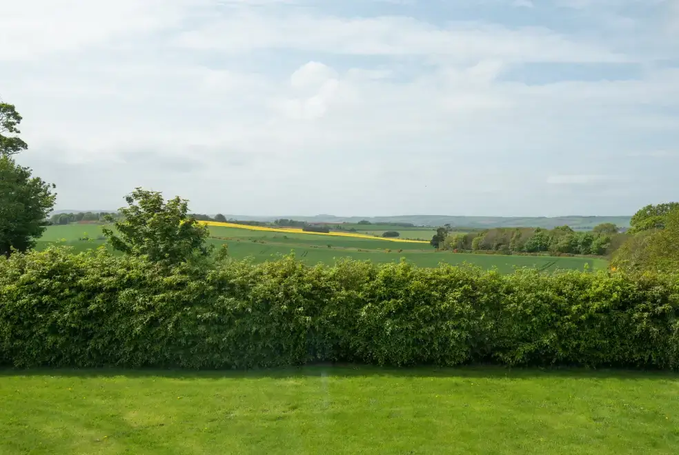 Countryside views at Edingtonhill House