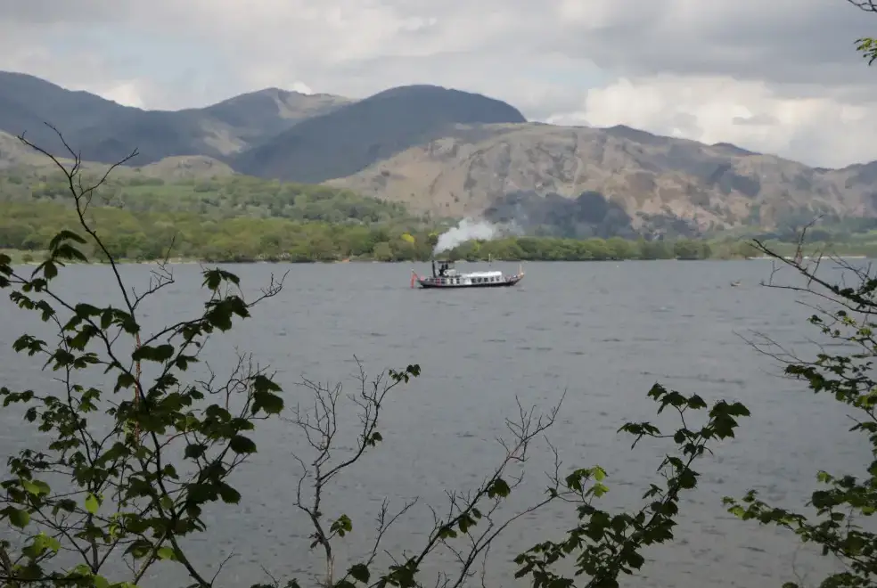 Lake view at Eller Riggs Cottage