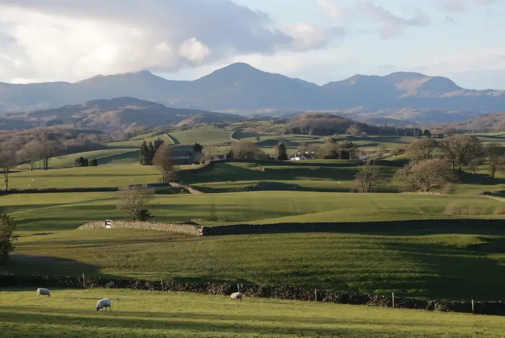Countryside views at Eller Riggs Cottage