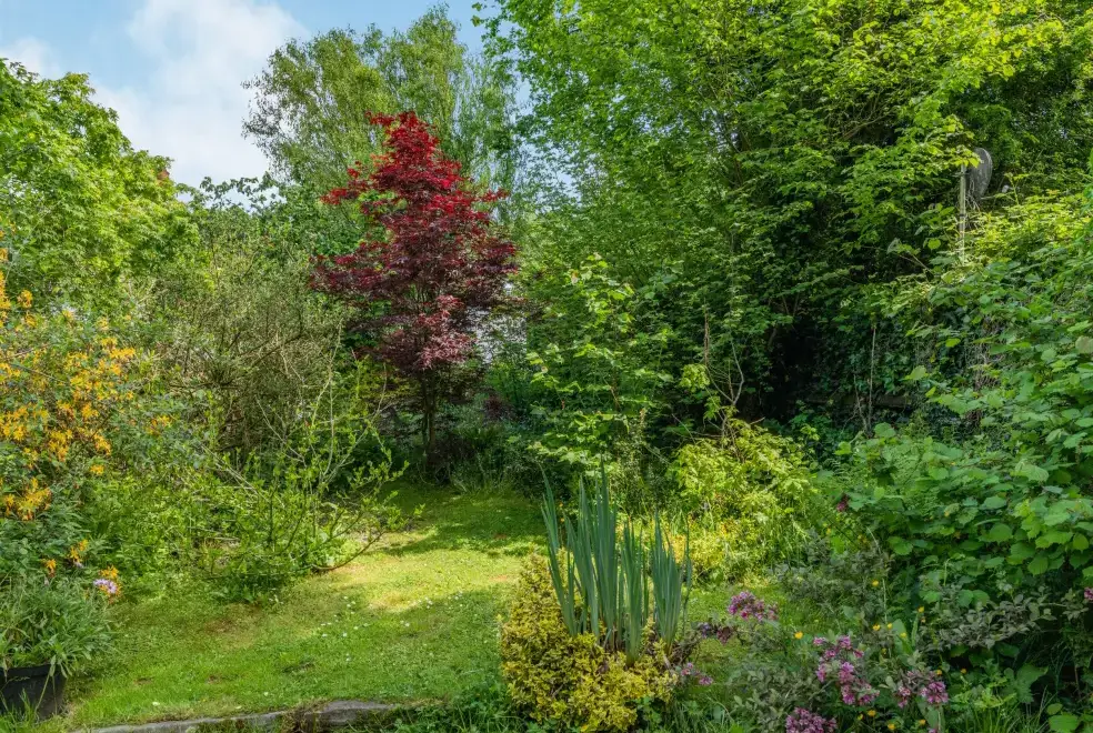Garden at Endymion Cabin, New Forest National Park