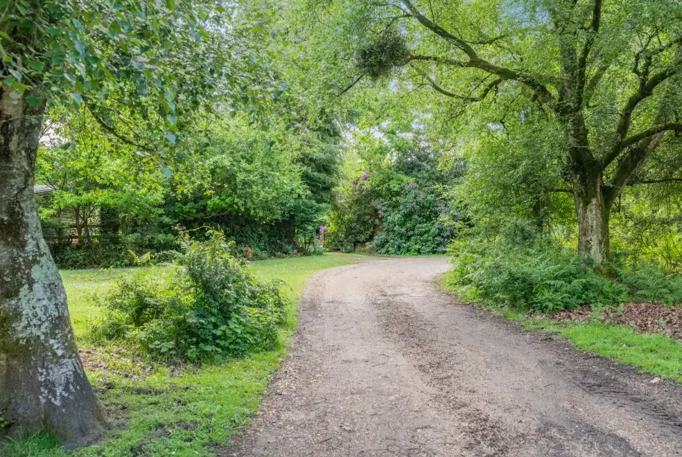 Countryside near Endymion Cabin, New Forest National Park