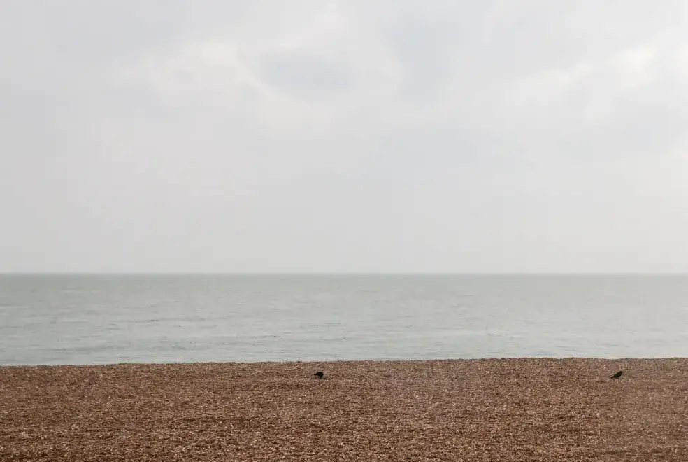 Coastal scenes near Fairlight View