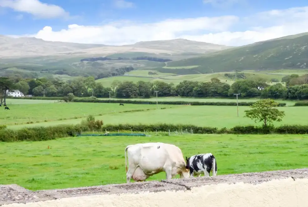 Countryside views at Fell View Cottage