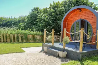 Filbert Pod, South East England, England