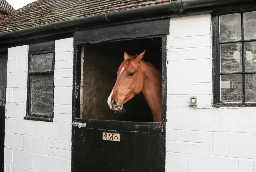 Surrounding area near Filbert Pod