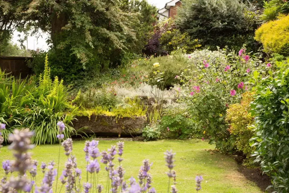 Garden at Forest House