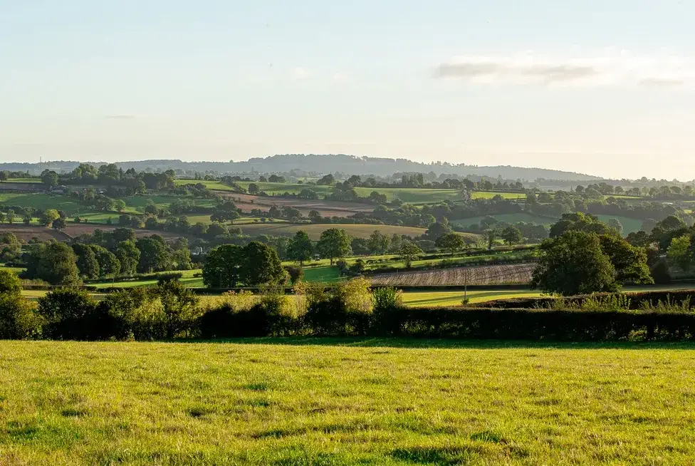 Countryside views at Frith Green